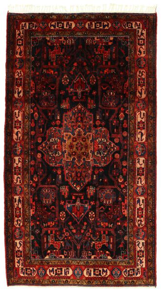 Nahavand - Hamadan Persian Carpet 297x164