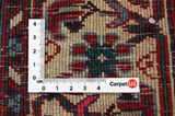 Bijar - Kurdi Persian Carpet 309x212 - Picture 4