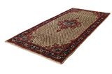 Songhor - Koliai Persian Carpet 324x157 - Picture 2