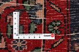 Songhor - Koliai Persian Carpet 324x157 - Picture 4