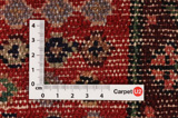 Songhor - Koliai Persian Carpet 310x170 - Picture 4