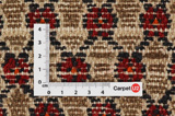 Songhor - Koliai Persian Carpet 285x160 - Picture 4