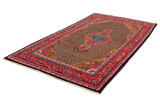 Songhor - Koliai Persian Carpet 298x160 - Picture 2