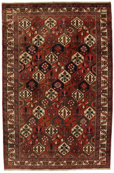 Bakhtiari Persian Carpet 307x201