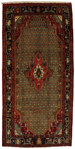 Songhor - Koliai Persian Carpet 342x167