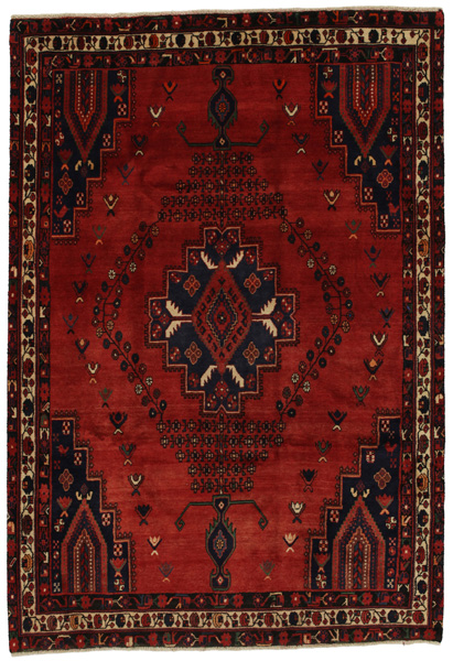 Tuyserkan - Hamadan Persian Carpet 242x166