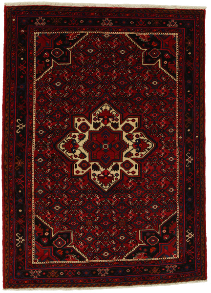 Borchalou - Hamadan Persian Carpet 212x156