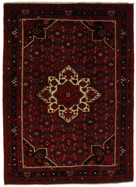 Borchalou - Hamadan Persian Carpet 218x157