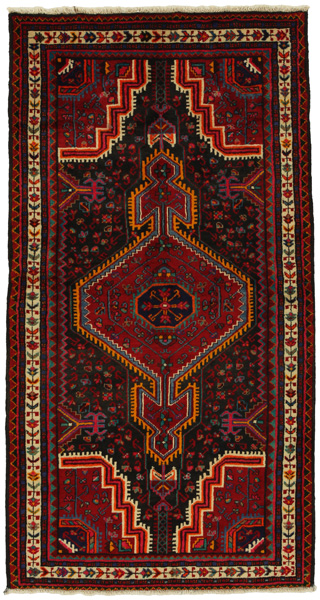Tuyserkan - Hamadan Persian Carpet 197x104
