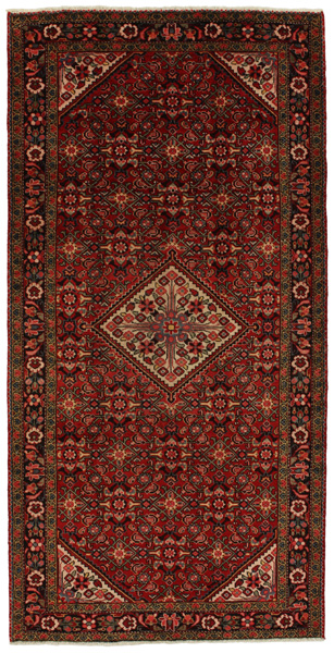 Borchalou - Hamadan Persian Carpet 313x157