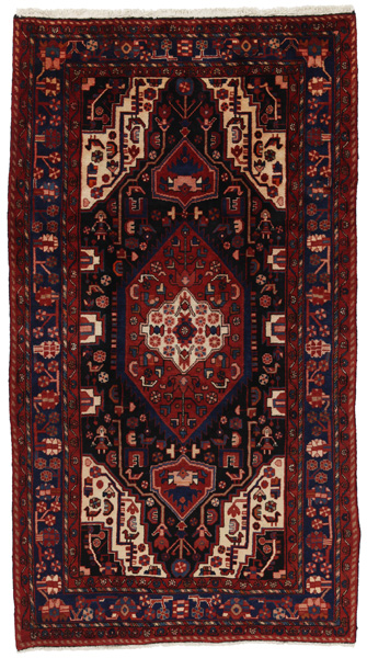 Nahavand - Hamadan Persian Carpet 305x169