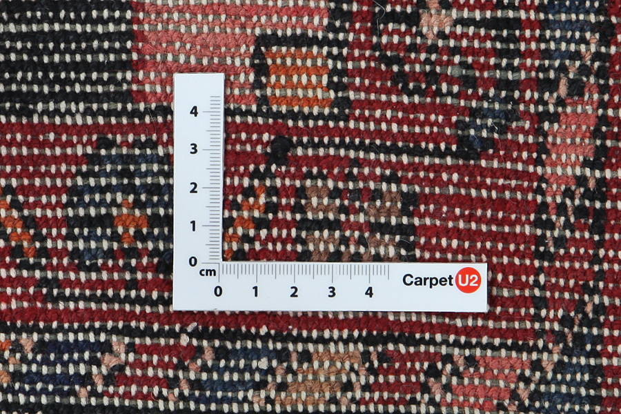 Nahavand - Hamadan Persian Carpet 305x169 - Picture 4