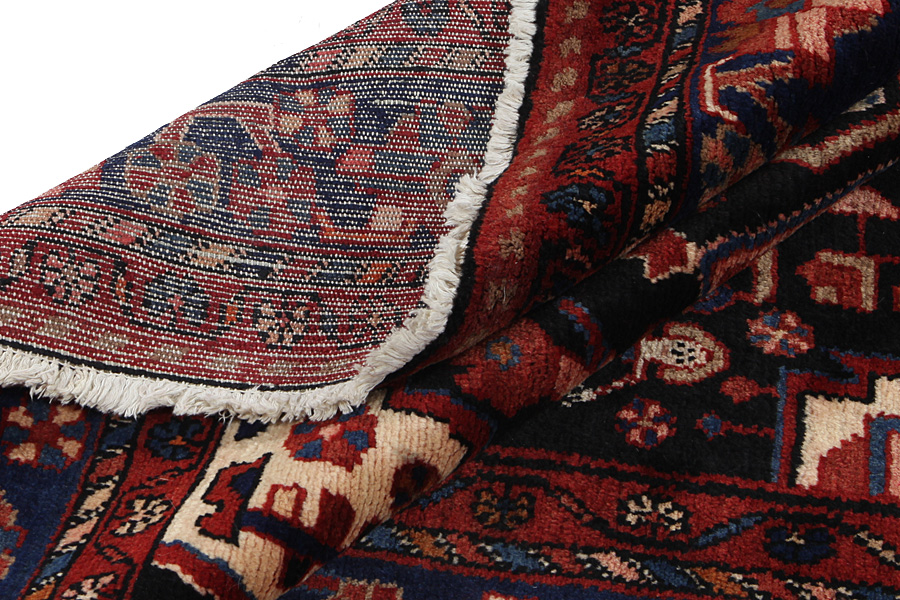 Nahavand - Hamadan Persian Carpet 305x169 - Picture 6