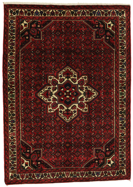 Borchalou - Hamadan Persian Carpet 219x156