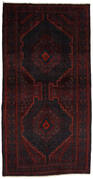 Tuyserkan - Hamadan Persian Carpet 296x150