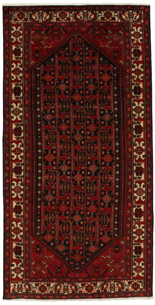 Zanjan - Hamadan Persian Carpet 293x148