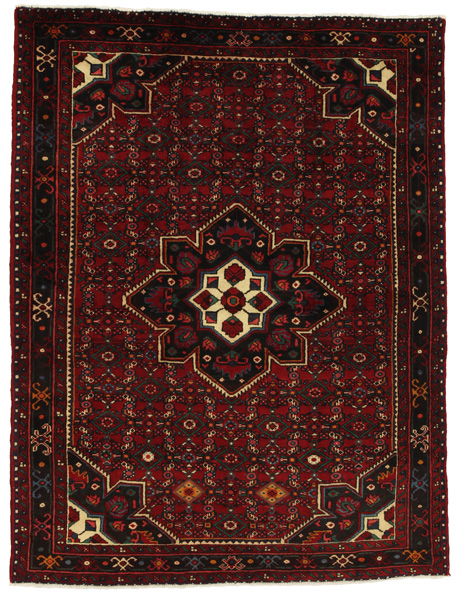 Borchalou - Hamadan Persian Carpet 218x166