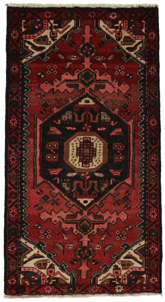 Tuyserkan - Hamadan Persian Carpet 148x78