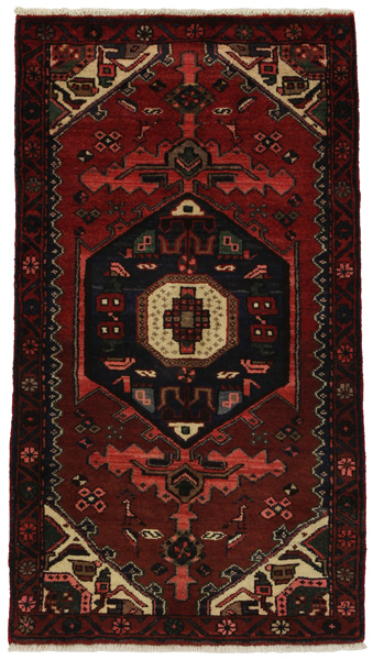 Tuyserkan - Hamadan Persian Carpet 145x79