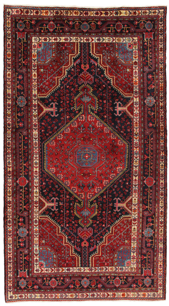 Tuyserkan - Hamadan Persian Carpet 278x152