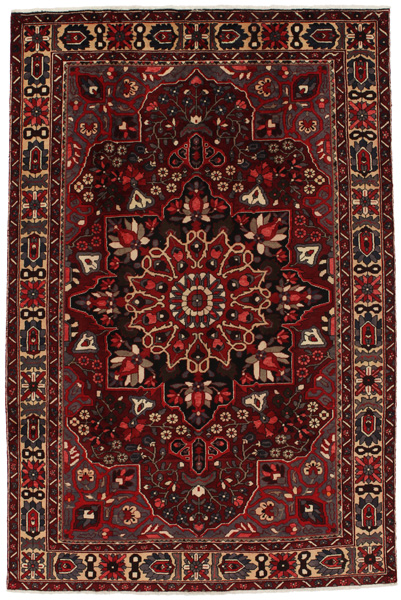 Bakhtiari Persian Carpet 307x205