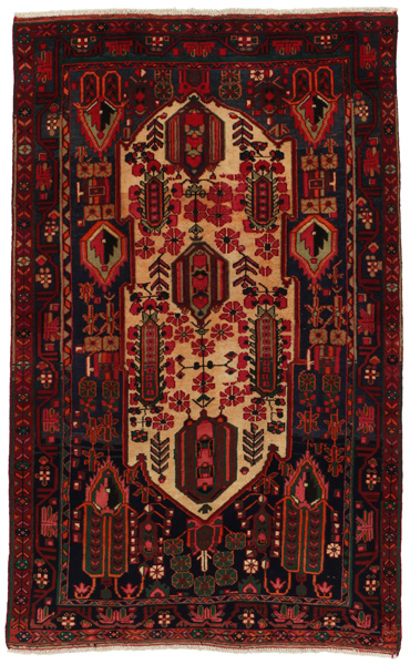 Nahavand - Hamadan Persian Carpet 232x141