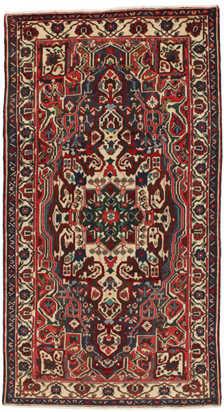Nahavand - Hamadan Persian Carpet 293x157