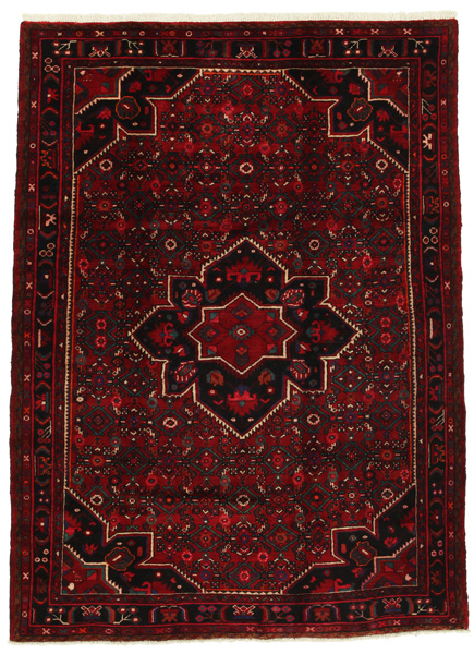 Hamadan Persian Carpet 220x159