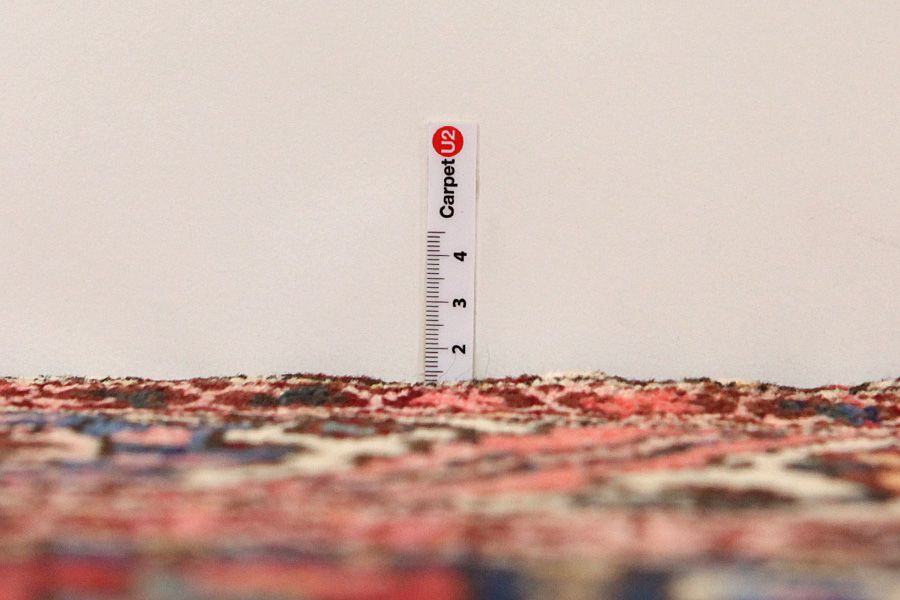 Bakhtiari - Garden Persian Carpet 300x156 - Picture 7