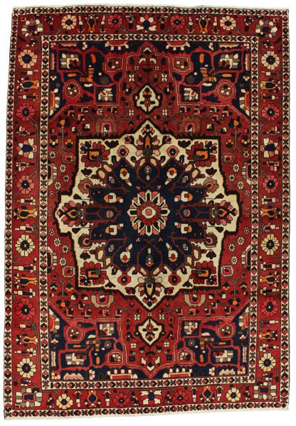 Bakhtiari Persian Carpet 301x210