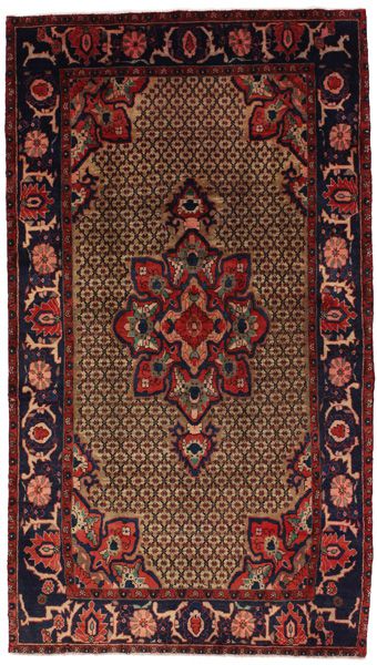 Songhor Persian Carpet 273x152