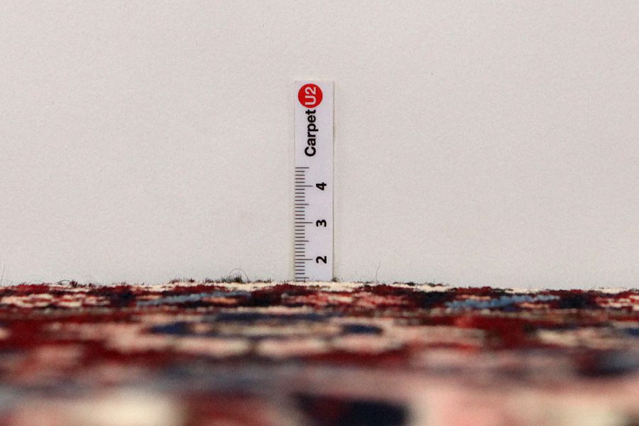 Bakhtiari Persian Carpet 318x210 - Picture 7