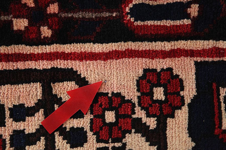 Bakhtiari - Garden Persian Carpet 305x205 - Picture 8