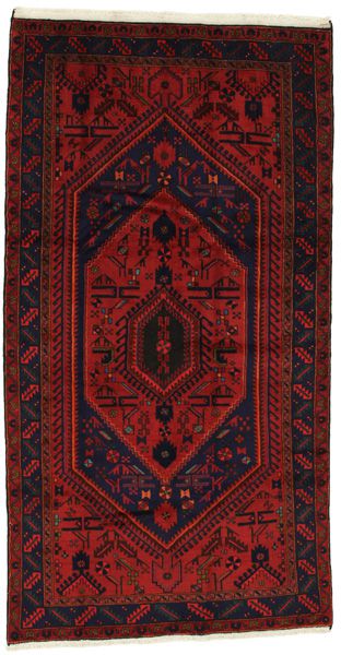 Tuyserkan - Hamadan Persian Carpet 245x127