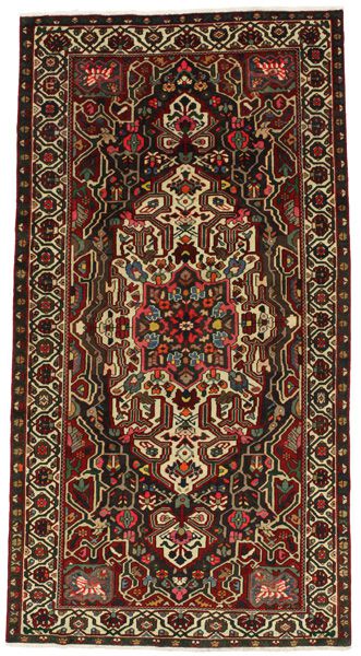 Nahavand - Hamadan Persian Carpet 297x157