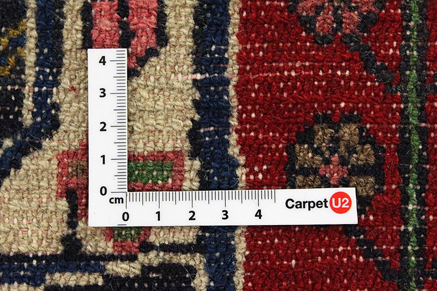 Nahavand - Hamadan Persian Carpet 275x170 - Picture 3