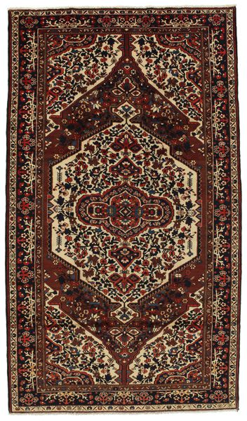 Jozan - Sarouk Persian Carpet 296x168