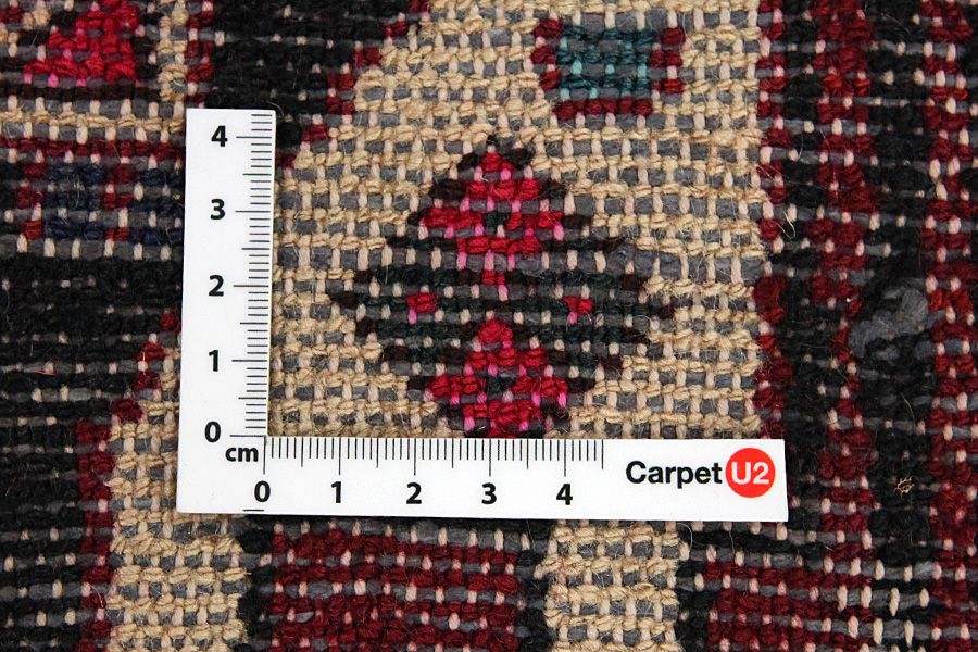 Tuyserkan - Hamadan Persian Carpet 308x154 - Picture 3