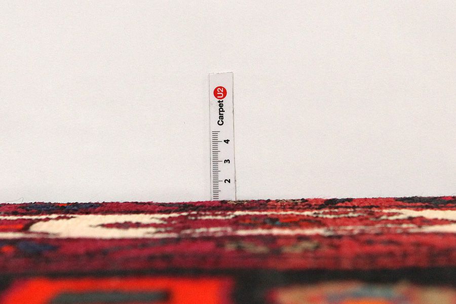 Tuyserkan - Hamadan Persian Carpet 308x154 - Picture 7