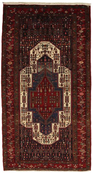 Tuyserkan - Hamadan Persian Carpet 300x160