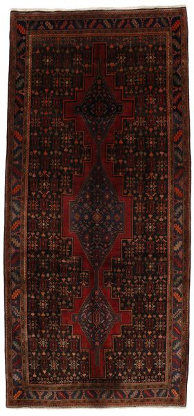 Tuyserkan - Hamadan Persian Carpet 345x155