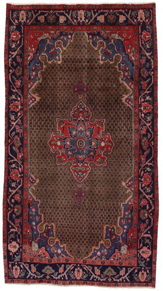Songhor - Koliai Persian Carpet 270x148