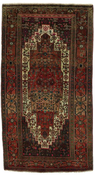 Tuyserkan - Hamadan Persian Carpet 274x150