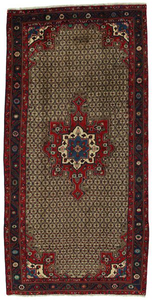 Songhor - Koliai Persian Carpet 315x156