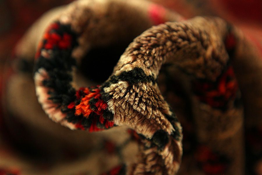 Songhor - Koliai Persian Carpet 291x150 - Picture 6