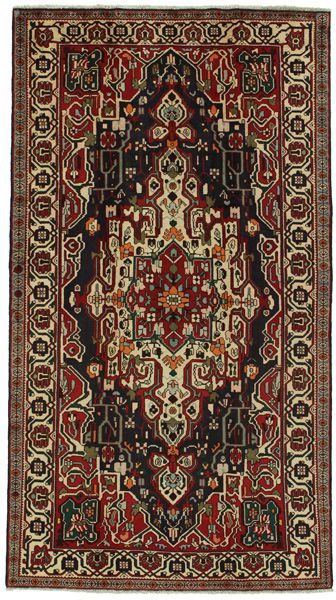Nahavand - Hamadan Persian Carpet 293x163