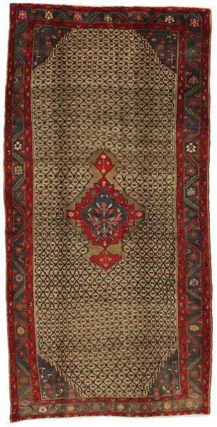 Songhor - Koliai Persian Carpet 325x160