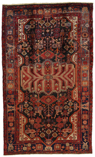 Nahavand - Hamadan Persian Carpet 305x180