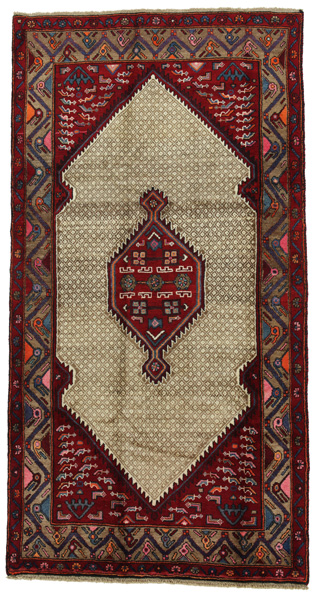 Songhor - Koliai Persian Carpet 246x125