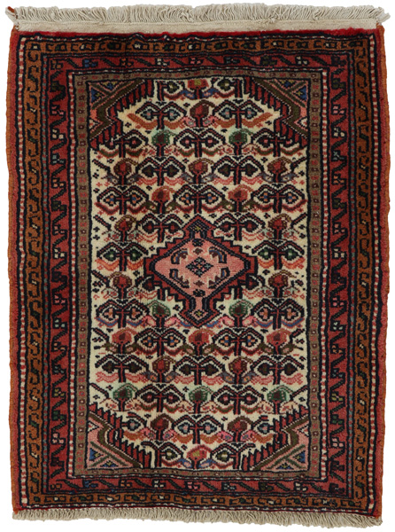 Enjelas - Hamadan Persian Carpet 83x66
